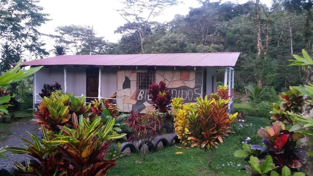 Nacientes Lodge Bijagua Exterior foto