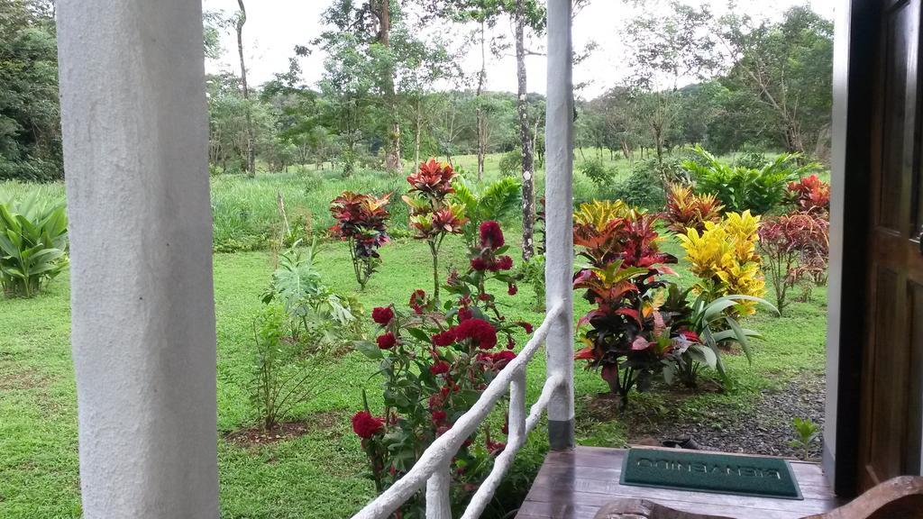 Nacientes Lodge Bijagua Exterior foto